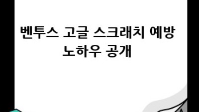 벤투스 고글 완벽 가이드😎 장단점부터 추천 모델까지!