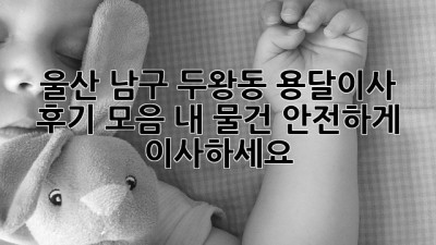 울산 남구 두왕동 용달이사 후기 모음: 내 물건, 안전하게 이사하세요!