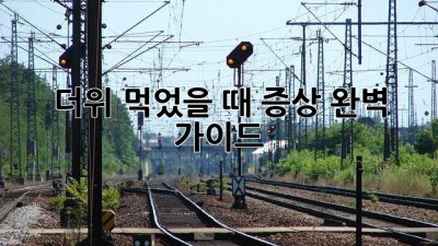 더위 먹었을 때 증상: 완벽 가이드